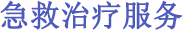 急救治疗服务