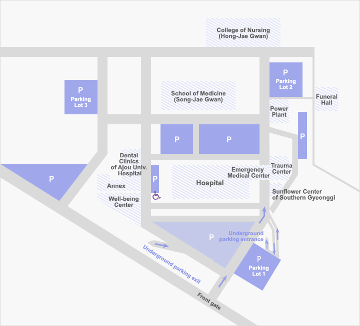 Parking Map